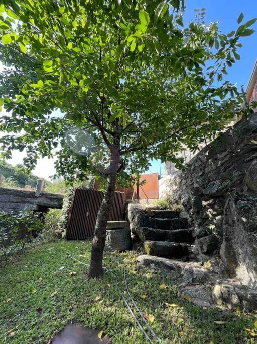 Vila Casa Da Tintim Em Baião Exteriér fotografie