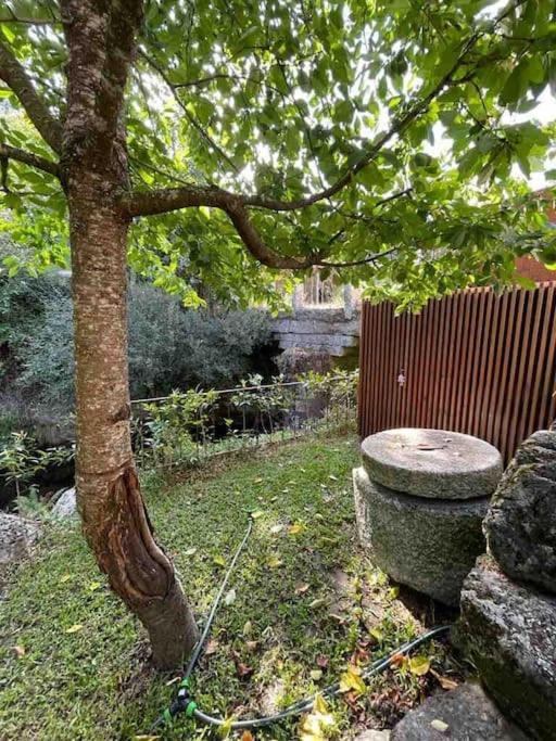 Vila Casa Da Tintim Em Baião Exteriér fotografie