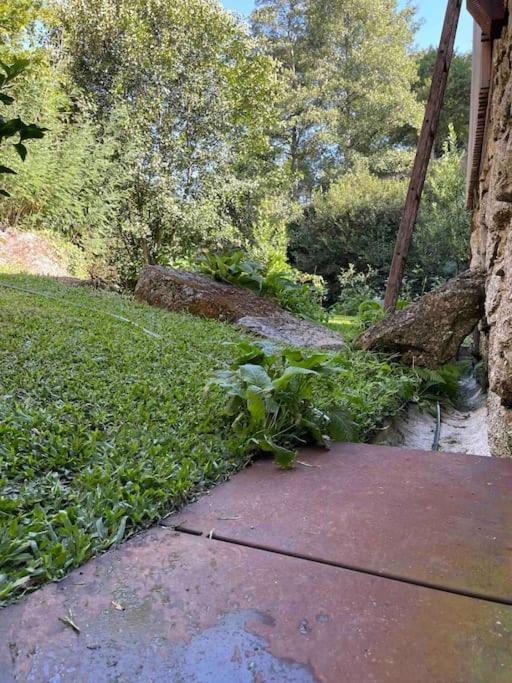 Vila Casa Da Tintim Em Baião Exteriér fotografie