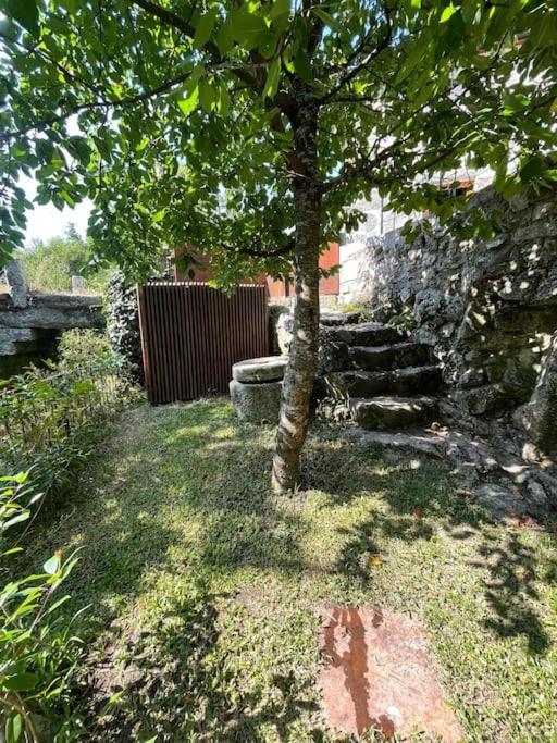 Vila Casa Da Tintim Em Baião Exteriér fotografie